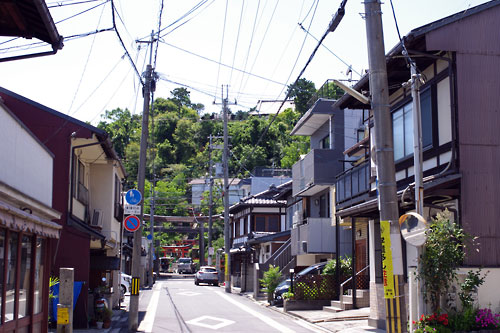 建勲神社参道に続く紫野の家並みから覗く船岡山の緑